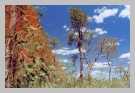 australien 004.jpg